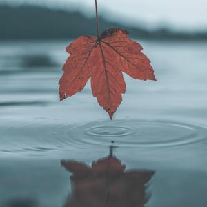 亚洲中文字幕在线无码一区
